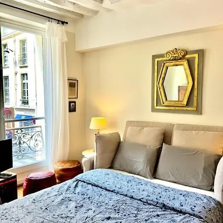 Beautiful Flat In Saint-germain *